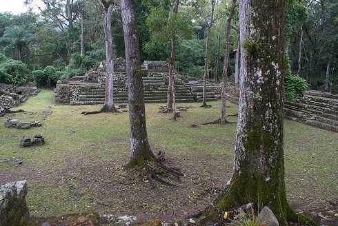 fg000819.jpg