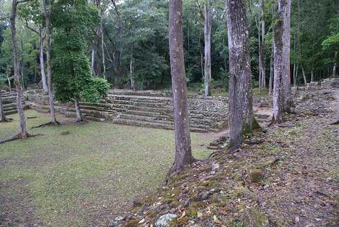 fg000820.jpg