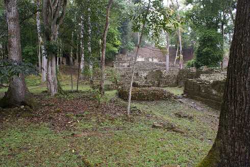 fg000831.jpg