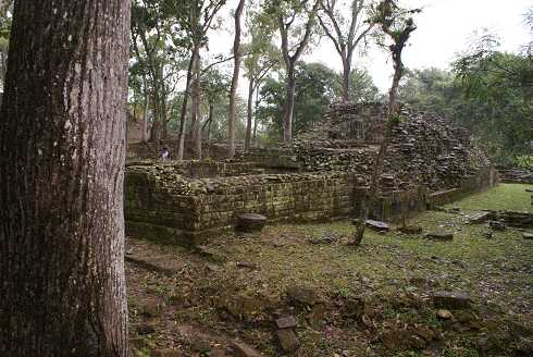 fg000832.jpg
