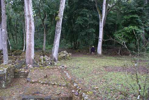 fg000836.jpg