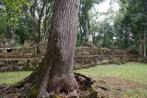 fg000840.jpg