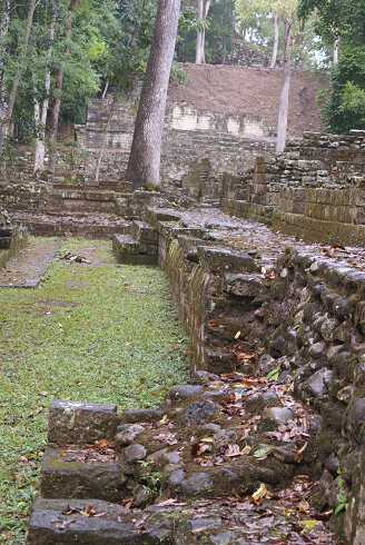 fg000846.jpg