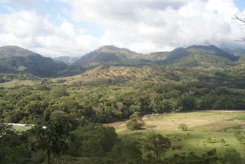 fg000862.jpg