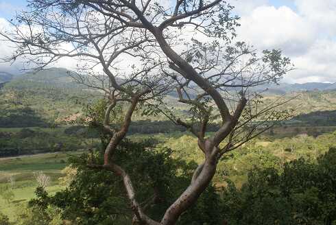 fg000863.jpg