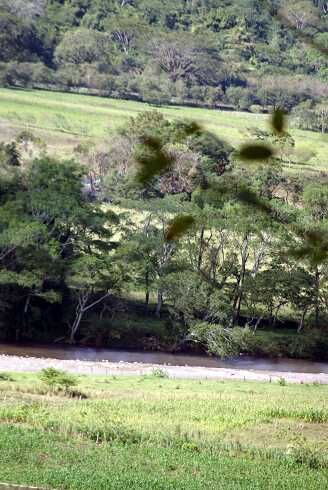 fg000866.jpg