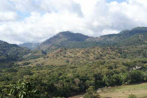fg000877.jpg