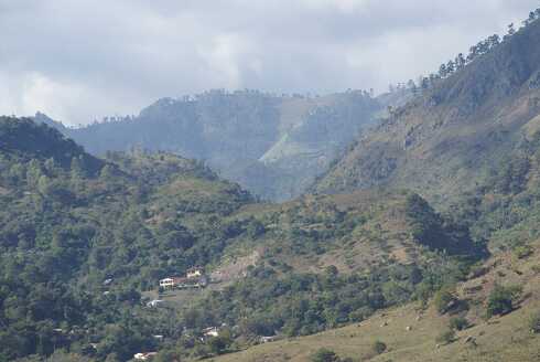 fg000878.jpg