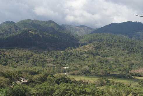 fg000879.jpg