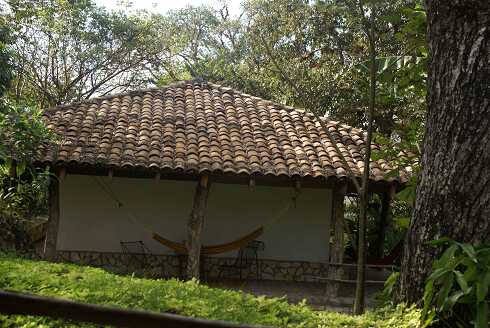 fg000882.jpg