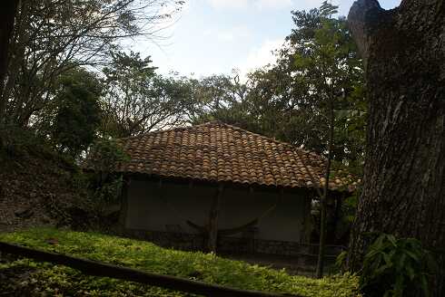 fg000885.jpg