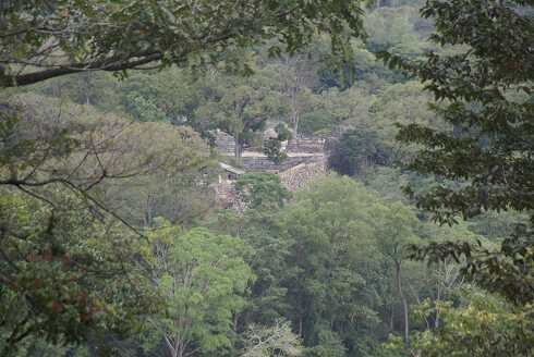 fg000892.jpg