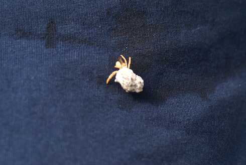 fg000959.jpg