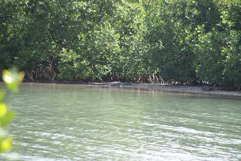 fg000977.jpg