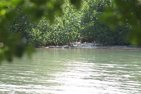 fg000978.jpg