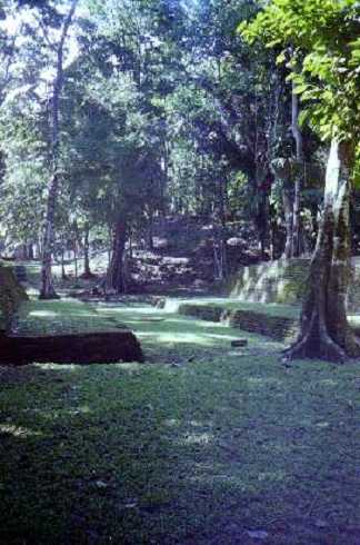 mb001237.jpg
