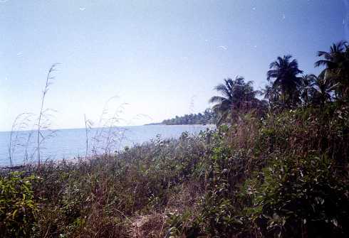 mb001264.jpg