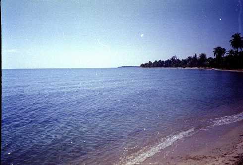 mb001266.jpg