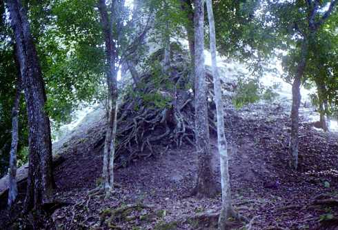 mb001300.jpg