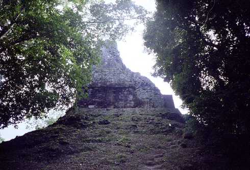 mb001302.jpg