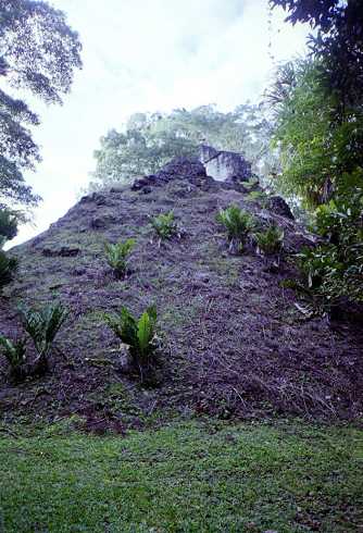 mb001307.jpg