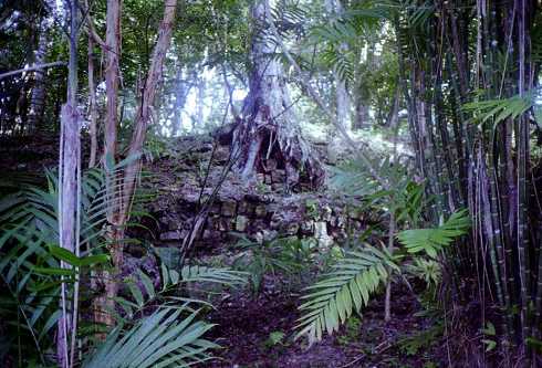 mb001308.jpg