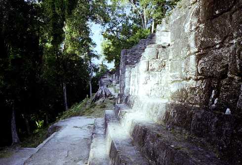 mb001311.jpg