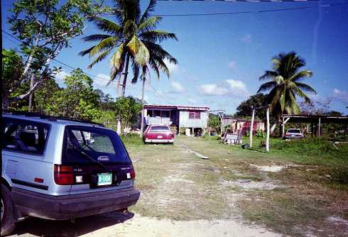 mb001339.jpg