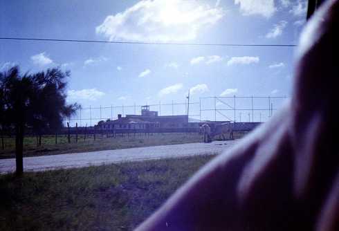 mb001343.jpg