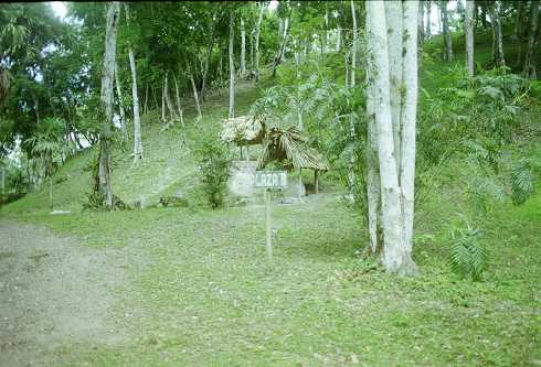 mc000092.jpg