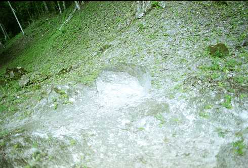 mc000095.jpg