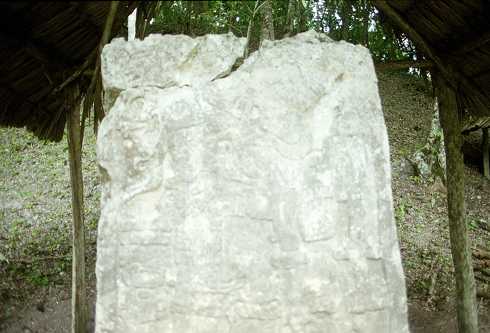 mc000097.jpg