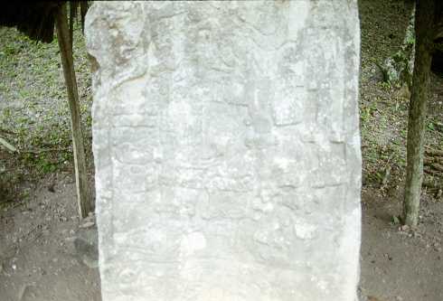 mc000098.jpg