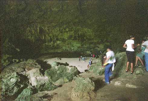 mc000112.jpg