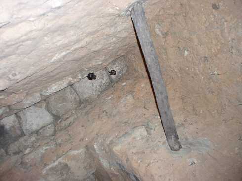 od000270.jpg