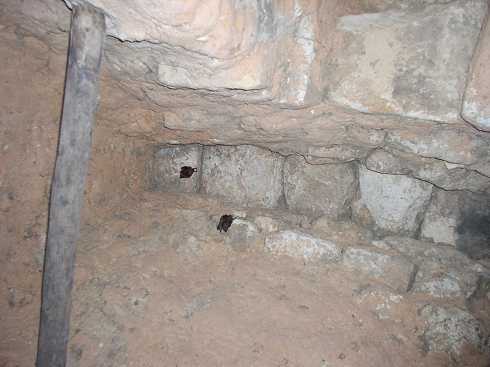 od000271.jpg