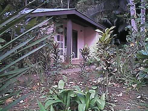qa000376.jpg