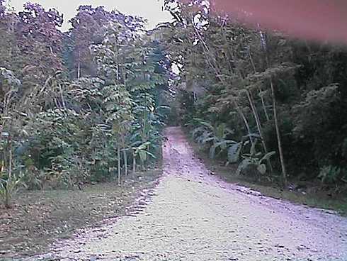 qa000379.jpg