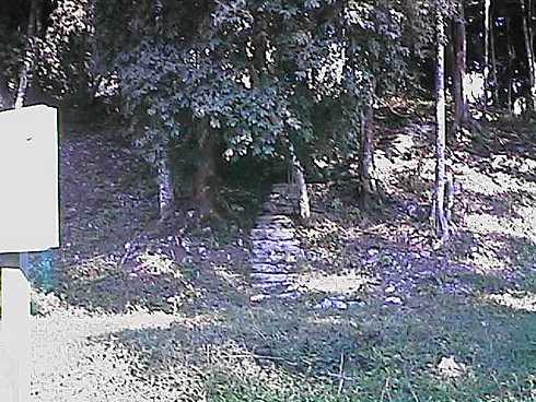 qa000419.jpg
