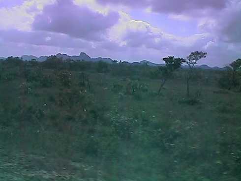 qa000424.jpg