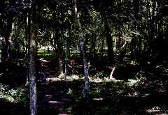 fa000152.jpg