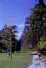 fa000238.jpg
