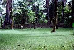 fb000169.jpg