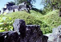 fb000329.jpg