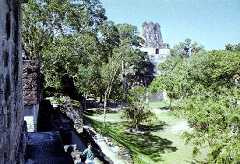 fb000368.jpg
