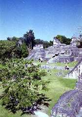 fb000369.jpg