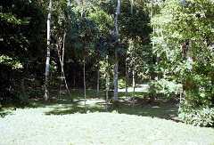 fb000411.jpg