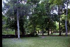 fb000486.jpg