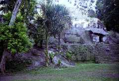 fb000489.jpg
