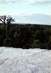 fb000510.jpg